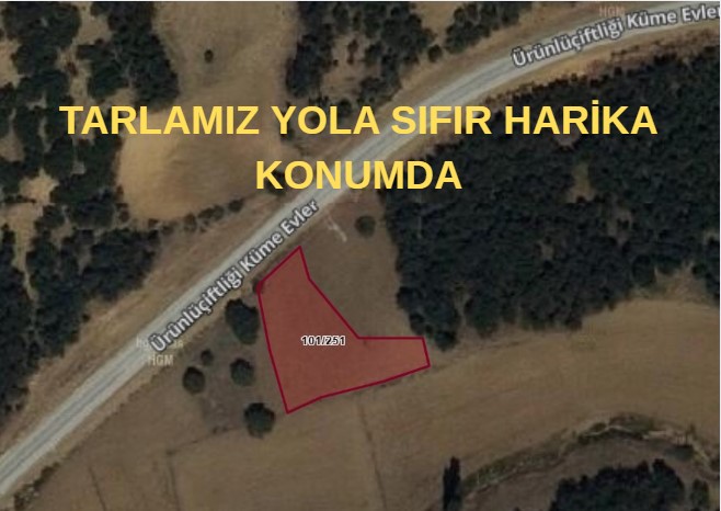 KÜTAHYA MERKEZ ÜRÜNÇİFTLİĞİ  KÖYÜNDE 1.030 M² TARLAMIZ SATILIR. - KÜTAHYA MERKEZ fotoğraf 5